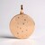 Ciondolo in argento con Diamante Argyle Rose de France I1 (Annette)