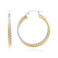 Orecchini in argento