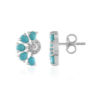 Orecchini in argento con Turchese Sleeping Beauty