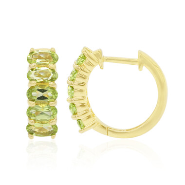 Orecchini in argento con Peridoto