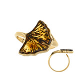 Baltischer Bernstein-Silberring (dagen)