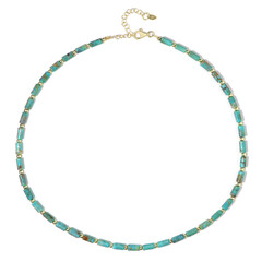 Zilveren halsketting met turkooisstenen