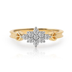IF (D) Brillant-Goldring