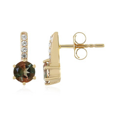 Oregon-Sonnenstein-Goldohrringe