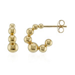 Orecchini in argento