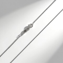 Catenina in argento