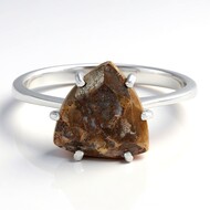 Anillo en plata con Cuarzo Dinosaurio
