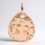 Ciondolo in argento con Diamante Argyle Rose de France I1 (Annette)
