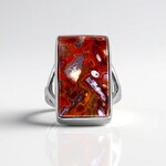 Anello in argento con Legno di Palma Pietrificato (Bali Barong)