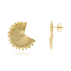 Orecchini in argento (Joias do Paraíso)