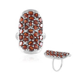 Mozambique Garnet Silver Ring