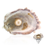 Pierścionek ze srebra - Muszla (TPC)