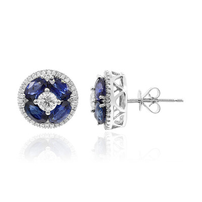 14K Ceylon Blue Sapphire Gold Earrings (CIRARI)