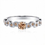 VS1 Argyle-Rose de France-Brillant-Goldring (Annette)