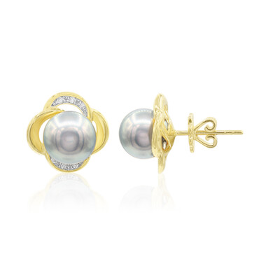 Orecchini in oro con Perla Tahitiana (TPC)