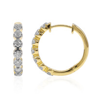 IF (D) Brillant-Goldohrringe