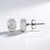 Orecchini in argento con Zircone