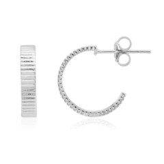 Pendientes en plata