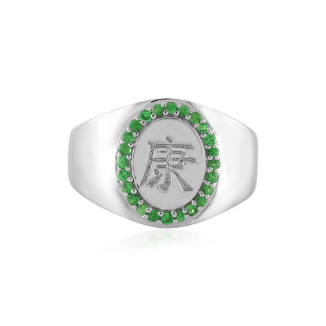 Anello in argento con Tsavorite - Salute