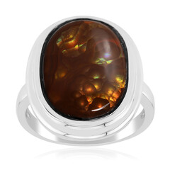 Zilveren ring met een vuur agaat