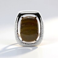Ciondolo in argento con Legno Fossile (dagen)