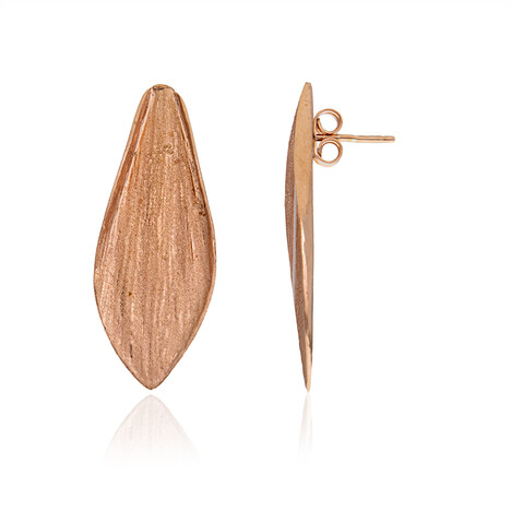 Silberohrringe (Joias do Paraíso)