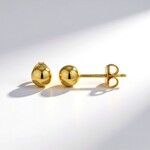 Orecchini in argento