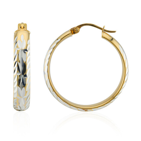 Orecchini in argento