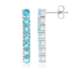 Orecchini in argento con Apatite Blu (de Melo Essence)