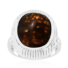 Zilveren ring met een vuur agaat