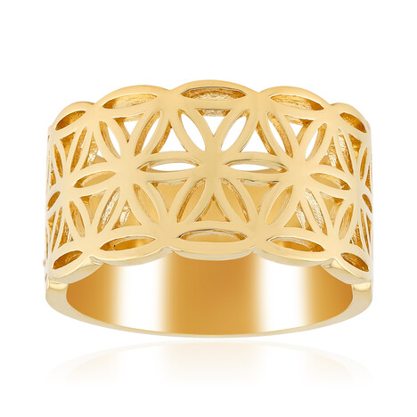 Silberring
