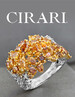 Cirari mit Anuja Dangayach