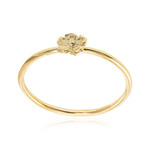 Silberring (Joias do Paraíso)