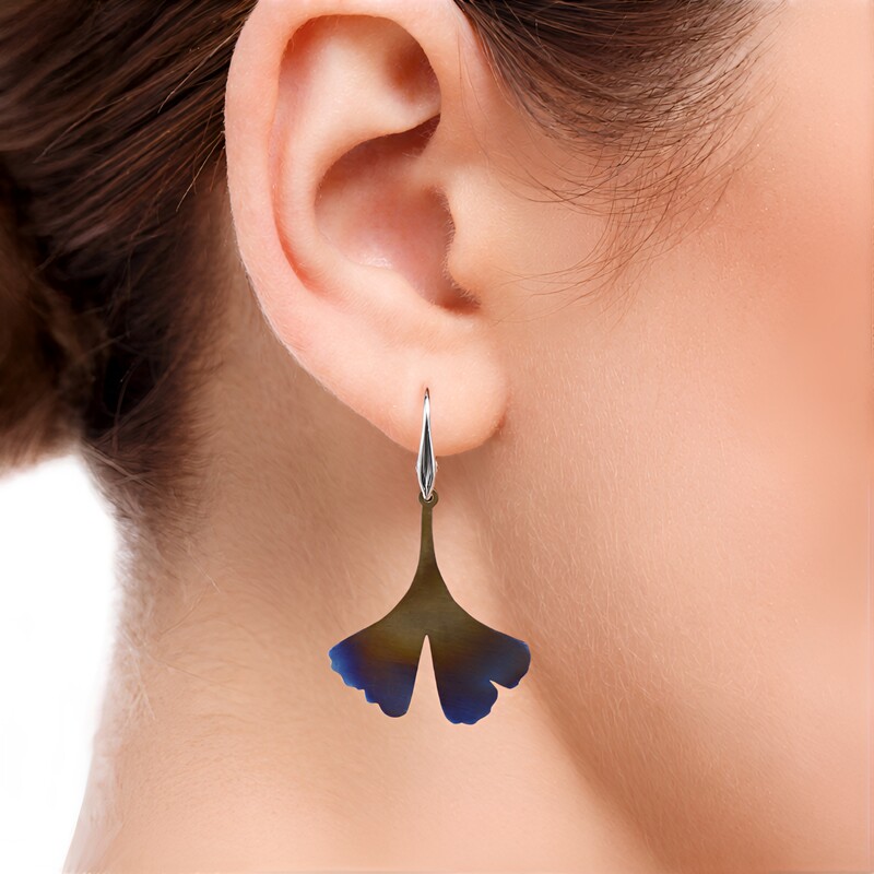 Titanohrringe (dagen)