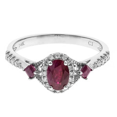 AAA-Mosambik-Rubin-Goldring