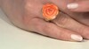 Zilveren ring met een Oranje stekelige oester (Gems en Vogue)