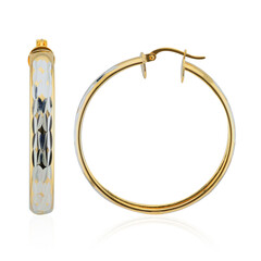 Orecchini in argento
