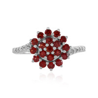 Bague en argent et Rubis de Tanzanie (Adela Silber)
