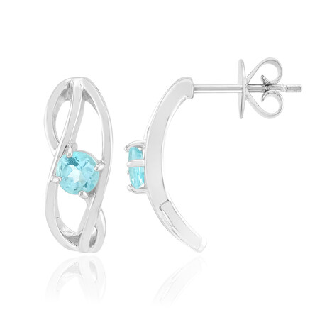 Zilveren oorbellen met Blauwe apatieten (Pallanova)