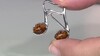 Zilveren broche met cognac Baltische barnstenen (dagen)