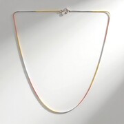 Collar en plata