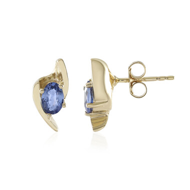 Blauer Ceylon-Saphir-Goldohrringe