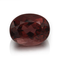  Rubellite 2,98 ct (gemme et boîte de collection)