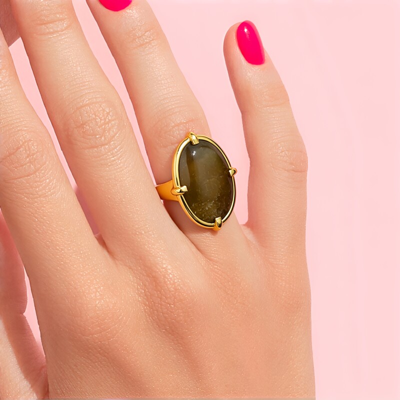 Anillo en plata con Madera de palma petrificada