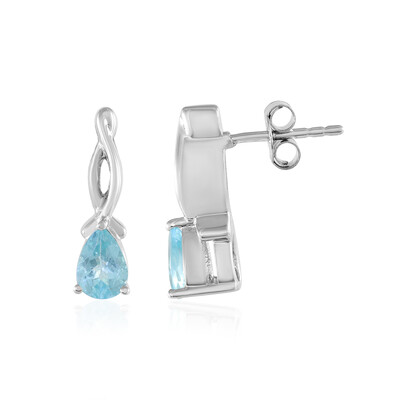 Orecchini in argento con Apatite Blu