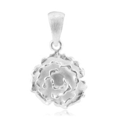 Silver Pendant (Nan Collection)