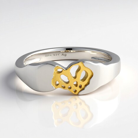Anello in argento (SAELOCANA)