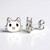 Boucles d'oreilles en argent