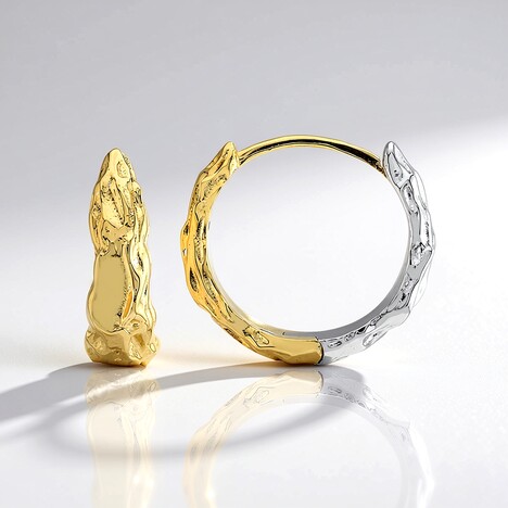 Boucles d'oreilles en argent