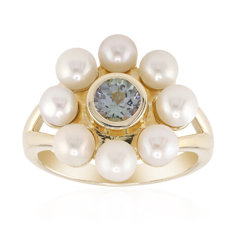 Gouden ring met een Onverhitte Tanzaniet (Remy Rotenier)